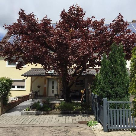 Apartmentvermietung Ingrid Bolkart - Voehlino 2 Иллертиссен Экстерьер фото